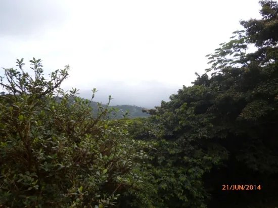 Lote en altos del mar