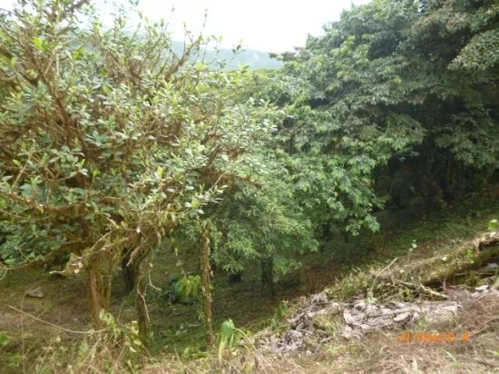 Lote en altos del mar