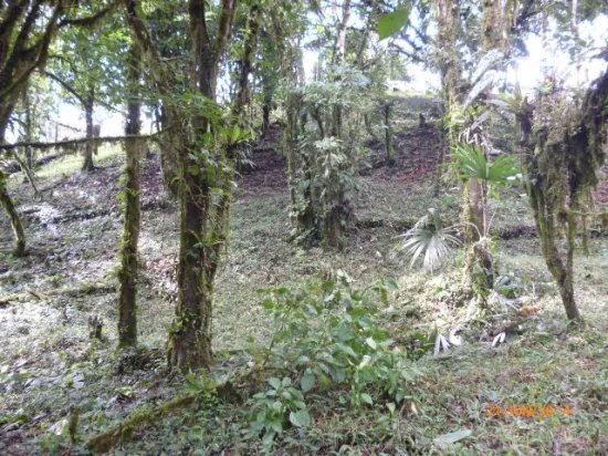Lote en altos del mar