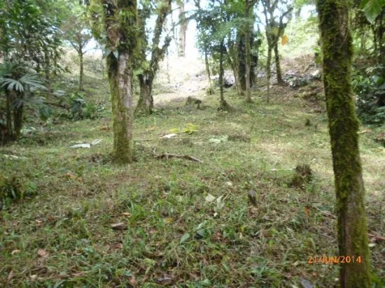 Lote en altos del mar