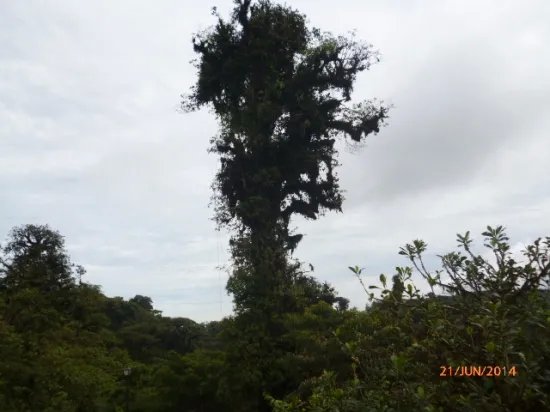 Lote en altos del mar