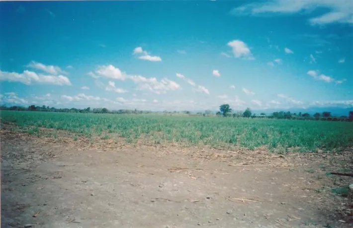 Lote comercial en venta en david