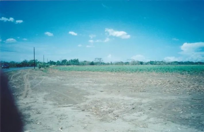 Lote comercial en venta en david