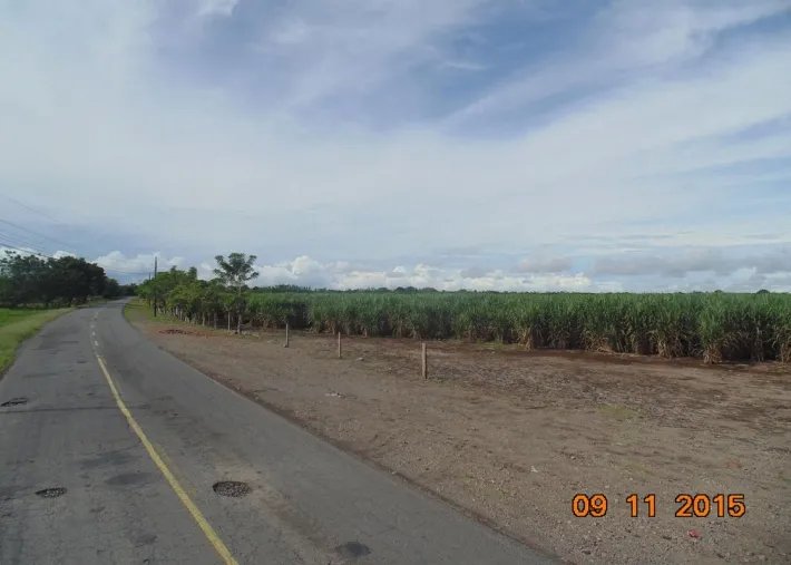 Lote comercial en venta en david