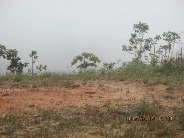 Lote con vista estupenda y espacio plano de construcci