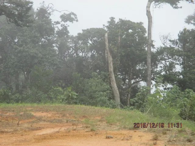 Lote con vista estupenda y espacio plano de construcci