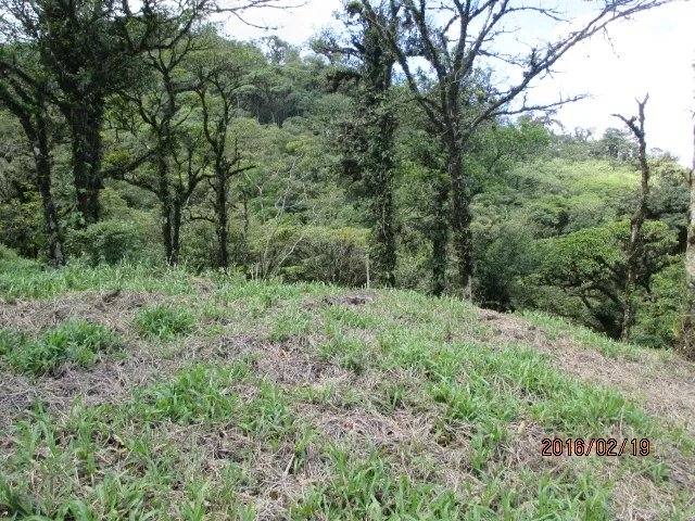 Lote plano en las monta