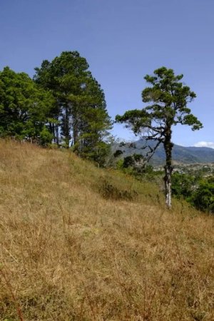 138885 - Volcan - lots