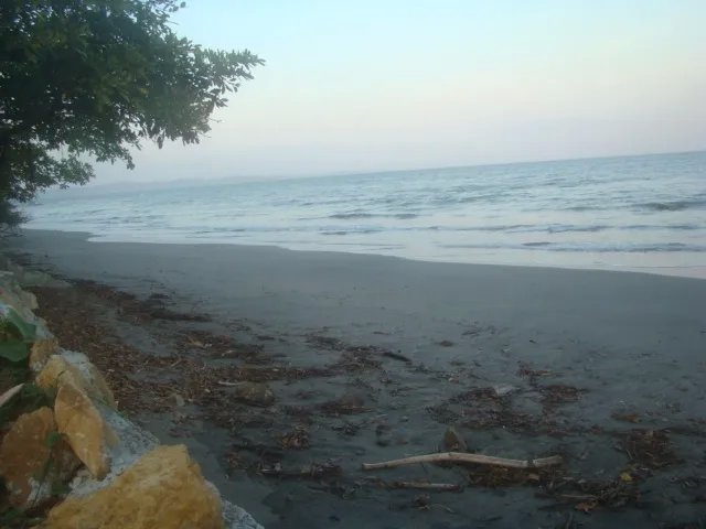 Espectacular finca de una hect