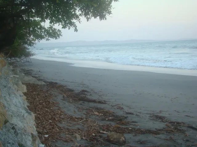 Espectacular finca de una hect