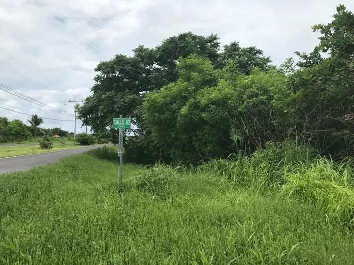 Lote para la venta en el bulevar principal de punta chame, a pocos min...