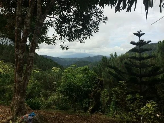 Imagine aquí la casa de sus sueños