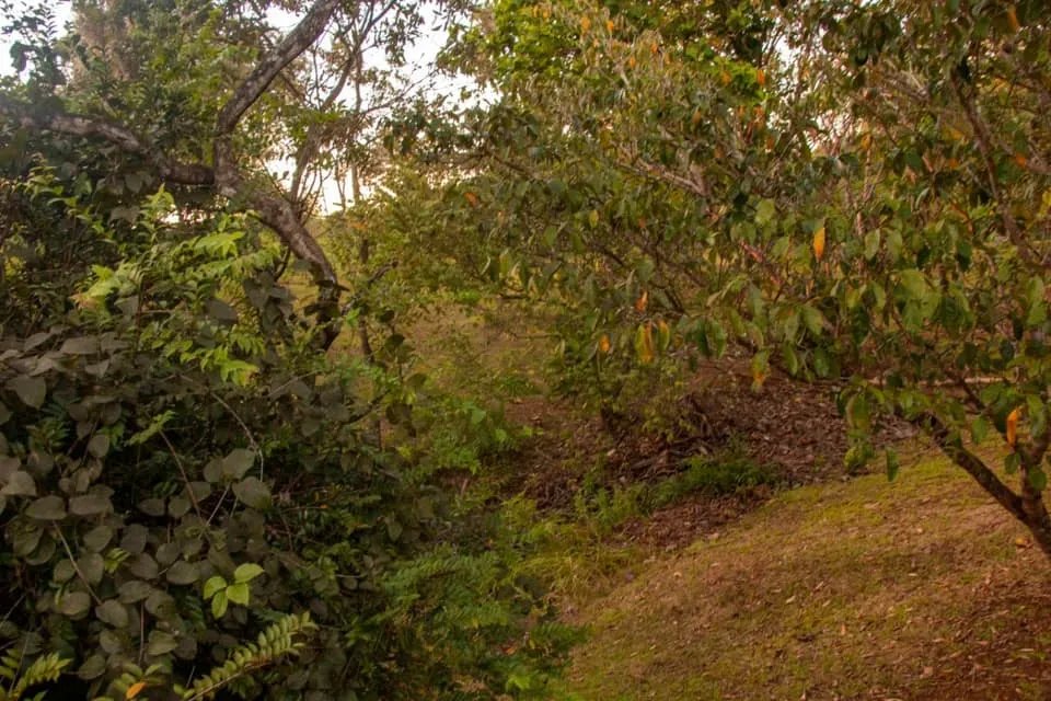 Lote a la venta en santa catalina