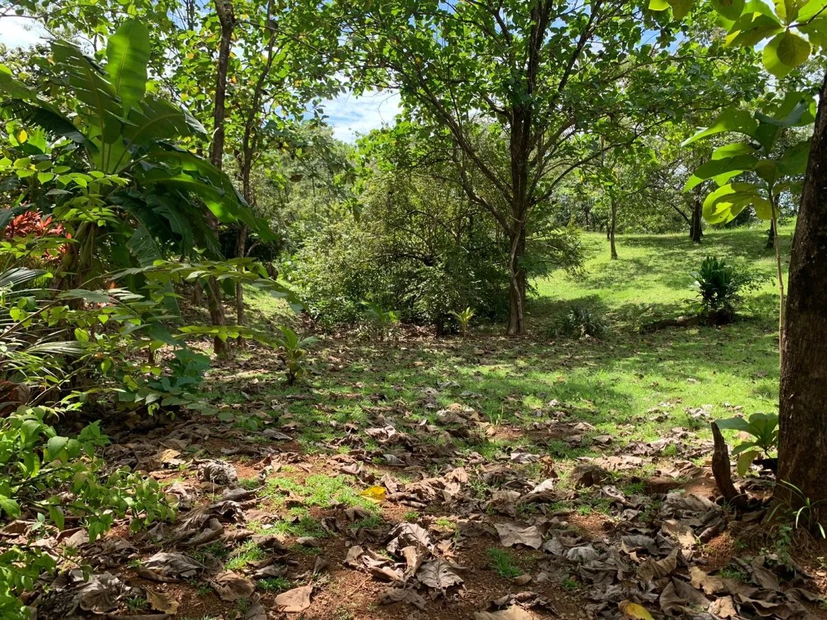 Lote a la venta en santa catalina