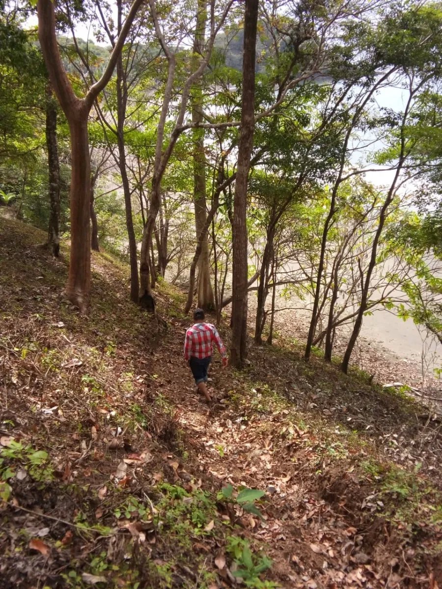 Se vende propiedad en playa gorgona, bahia de san lorenzo