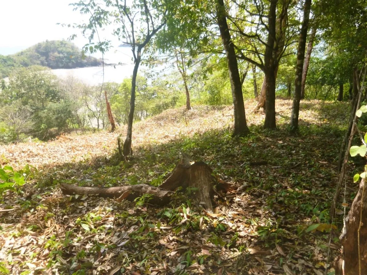 Se vende propiedad en playa gorgona, bahia de san lorenzo
