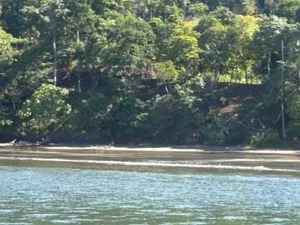 Se vende propiedad en playa gorgona, bahia de san lorenzo