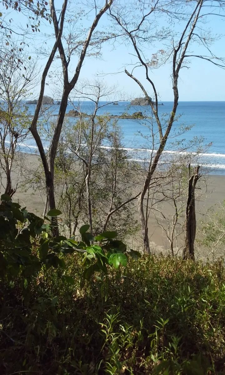 Se vende propiedad en playa gorgona, bahia de san lorenzo