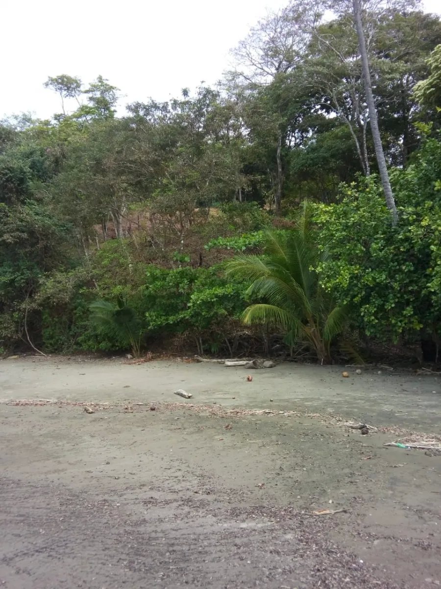 Se vende propiedad en playa gorgona, bahia de san lorenzo