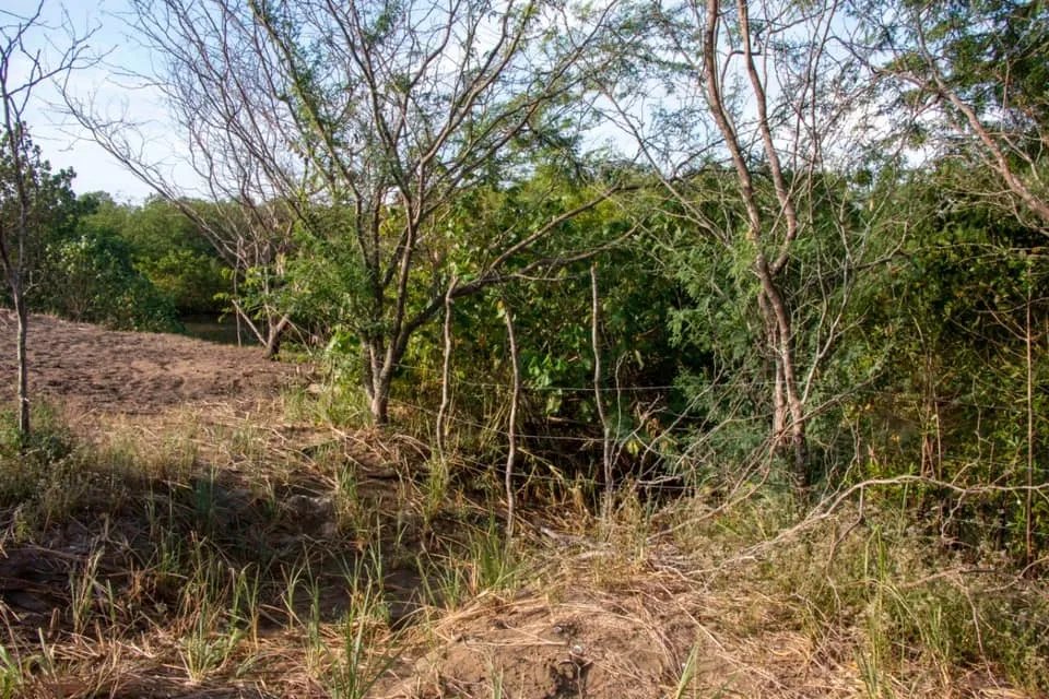 Se vende lote en la playa de lagartero, veraguas