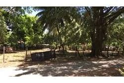 Terreno en playa reina de 1370 m2 titulada