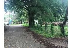 Terreno en playa reina de 1370 m2 titulada