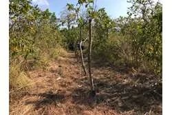 Se vende 1 hectárea en santa catalina, veraguas. panamá.