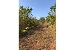 Se vende 1 hectárea en santa catalina, veraguas. panamá.
