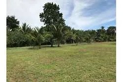 Se venden lotes en lagartero, sona - provincia de veraguas