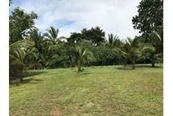 Se venden lotes en lagartero, sona - provincia de veraguas