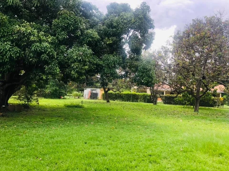 Se alquila casa en santa clara, rio hato