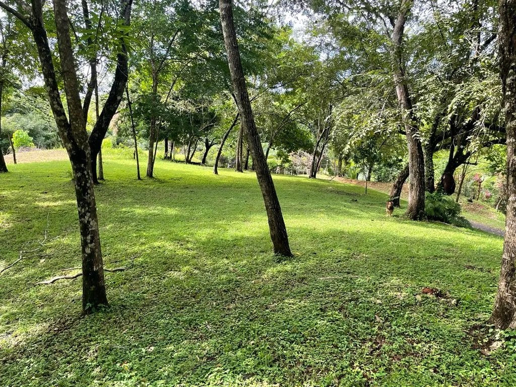 Lote en venta en santa catalina, de unos 814 metros cuadrados; en una ubicación increíble.