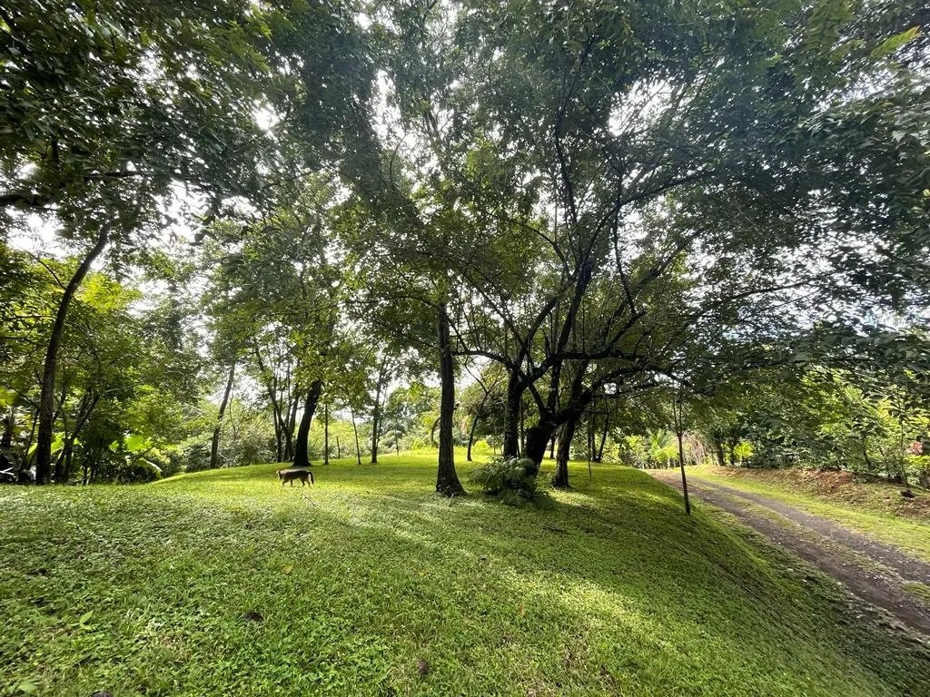 Lote en venta en santa catalina, de unos 814 metros cuadrados; en una ubicación increíble.