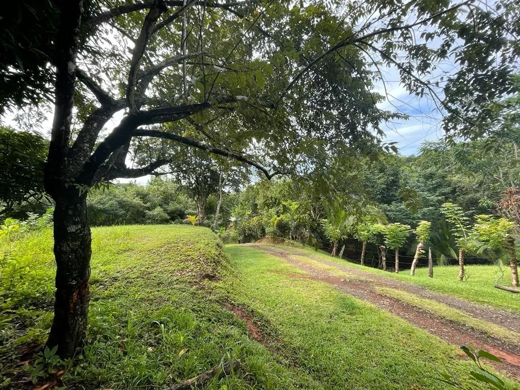 Lote en venta en santa catalina, de unos 814 metros cuadrados; en una ubicación increíble.