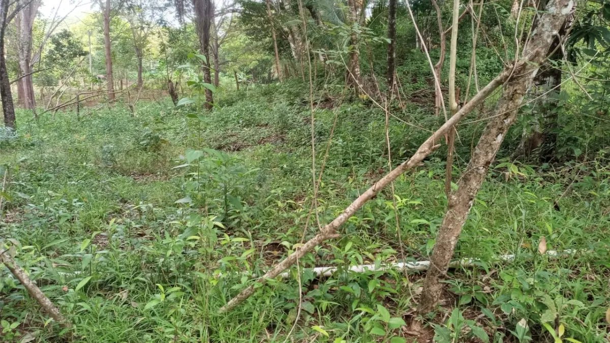Lote en venta en veraguas, santa catalina.
