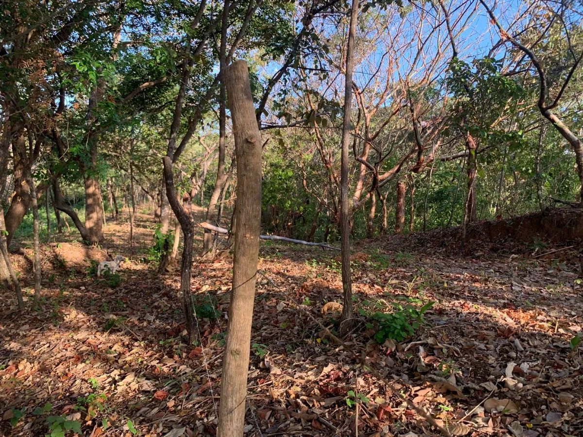 Propiedad en venta en santa catalina, veraguas (la propiedad mide 1000...