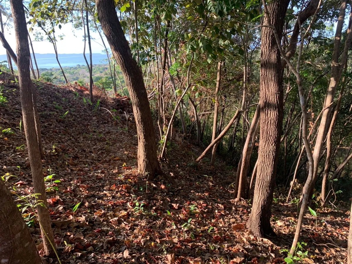Propiedad en venta en santa catalina, veraguas (la propiedad mide 1000...