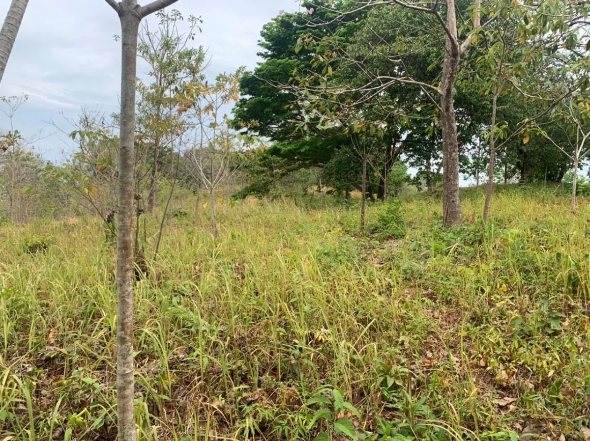 Lote en venta en santa catalina, veraguas. de 2700 metros cuadrados.