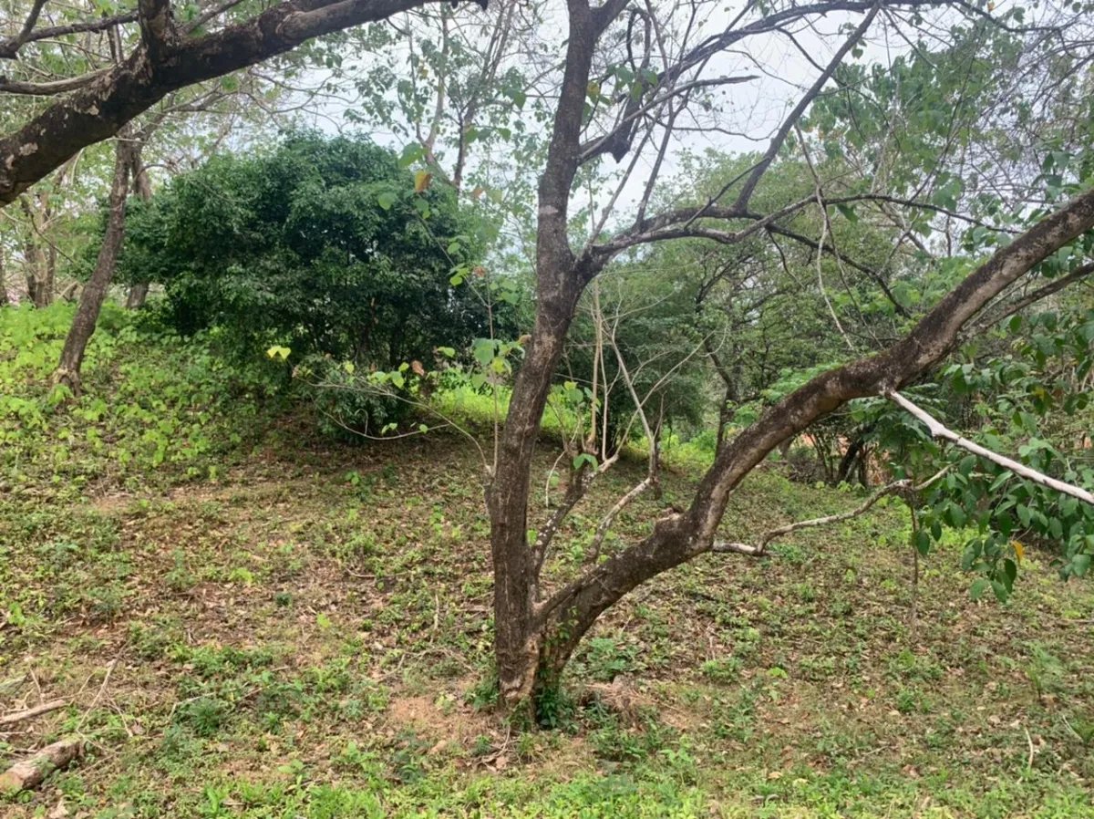 Lote en venta en santa catalina, veraguas. de 3200 metros cuadrados.