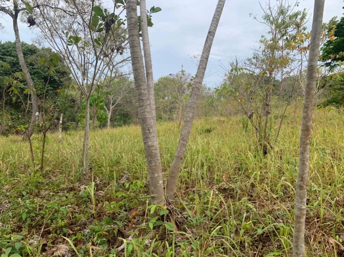 Lote en venta en santa catalina, veraguas. de 3200 metros cuadrados.