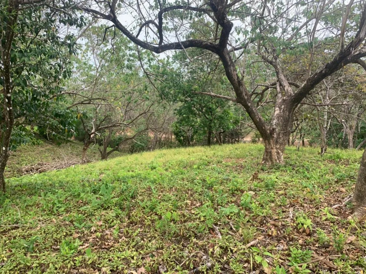 Lote en venta en santa catalina, veraguas. de 3200 metros cuadrados.