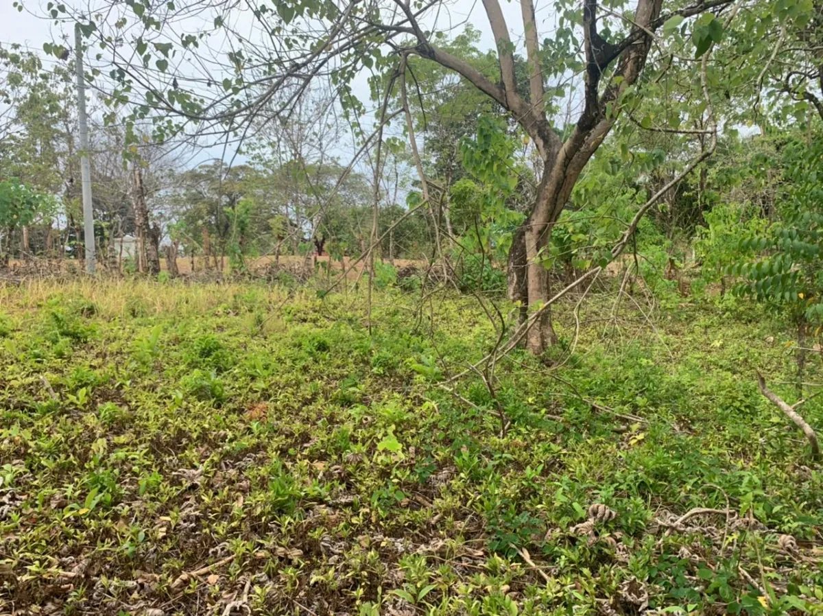 Lote en venta en santa catalina, veraguas. de 3200 metros cuadrados.