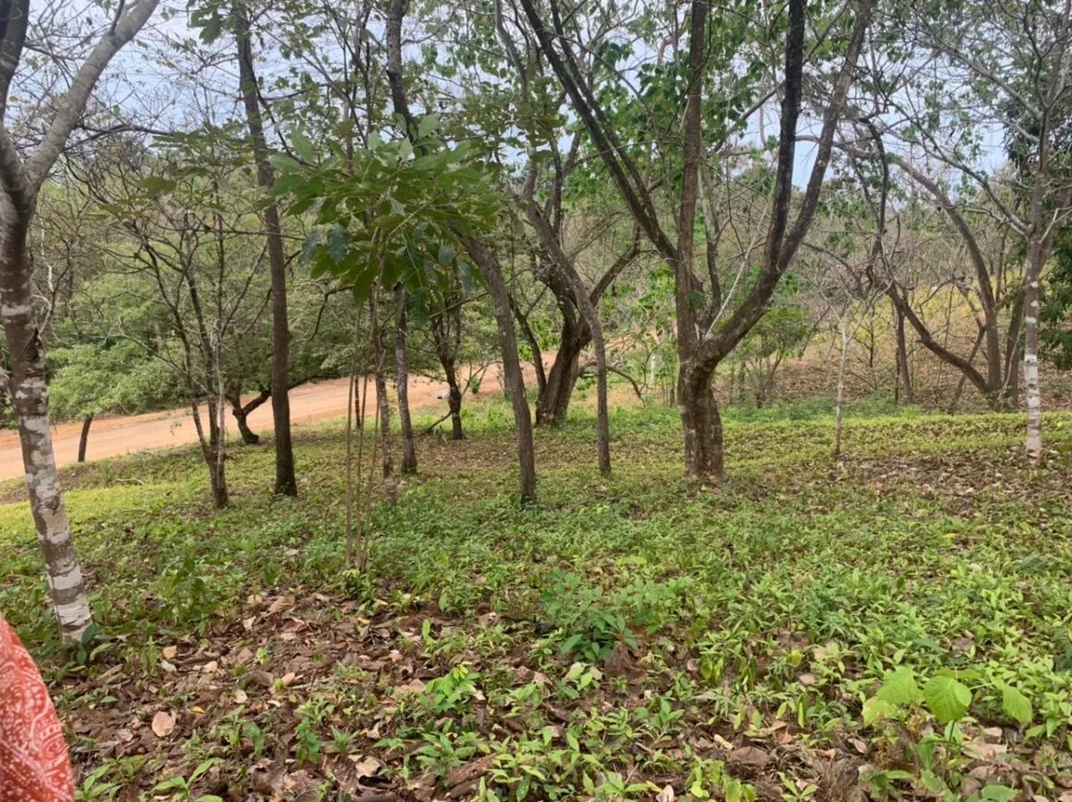 Lote en venta en santa catalina, veraguas. de 6700 metros cuadrados