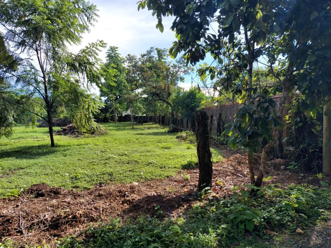 Lote plano cerca del pueblo y la playa de las lajas, chiriqui