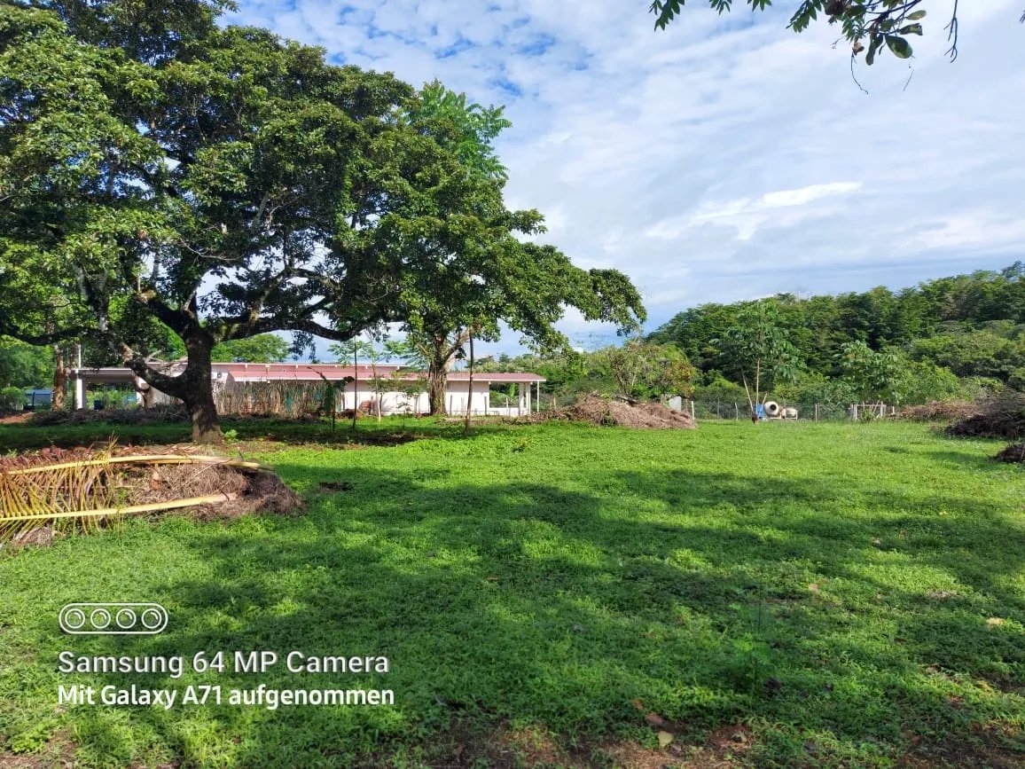 Lote plano cerca del pueblo y la playa de las lajas, chiriqui