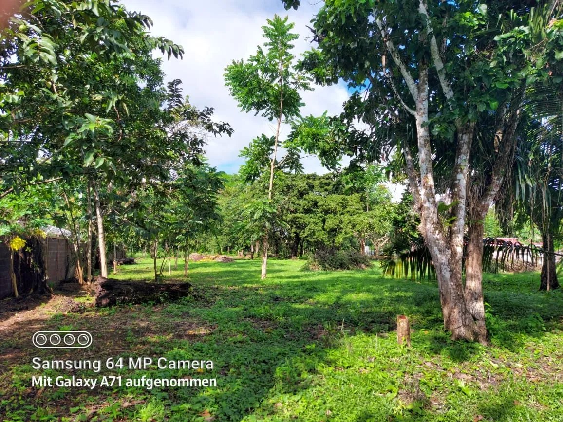 Lote plano cerca del pueblo y la playa de las lajas, chiriqui