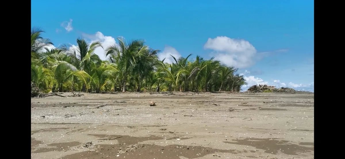 Propiedad en venta frente a la playa de lagartero,  santa catalina, veraguas.