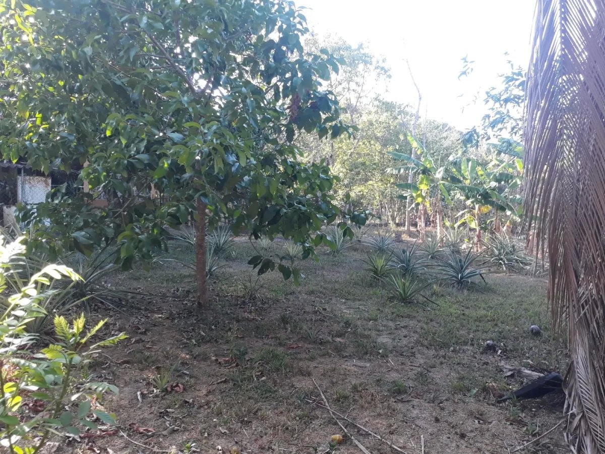 Casa en venta en el centro del municipio de guarumal, veraguas. cerca del destino turistico santa catalina.   casa ubicada frente al centro de salud d