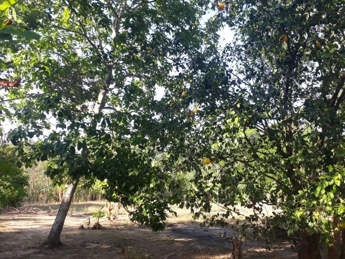 Casa en venta en el centro del municipio de guarumal, veraguas. cerca del destino turistico santa catalina.   casa ubicada frente al centro de salud d