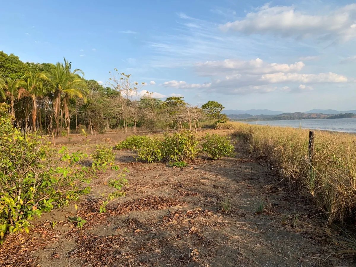Se vende propiedad frente al mar, en mata oscura, veraguas.